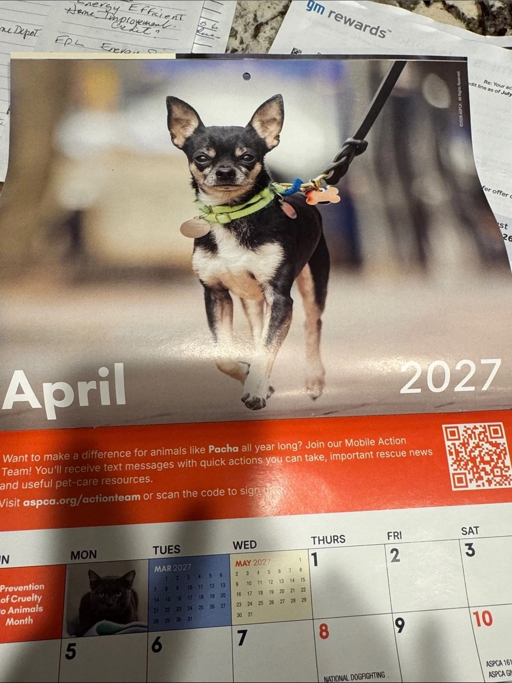 2027 Special Edition Calendar - Cream/Orange
